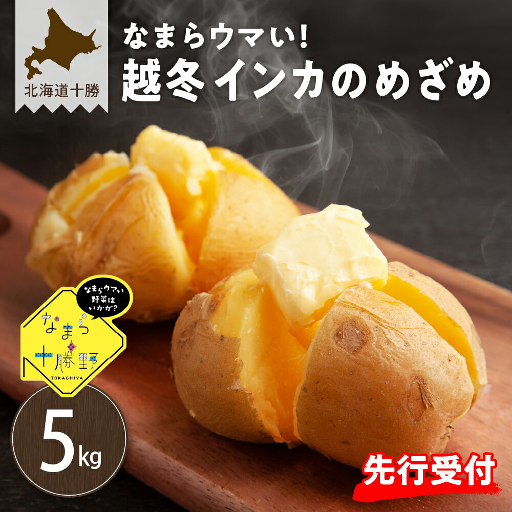 【ふるさと納税】【先行予約】【2026年2月より順次発送】 じゃがいも なまら十勝野の 雪室熟成 越冬 インカのめざめ 5kg 産地直送 野菜 芋 美味しさに フライドポテト ジャガイモ インカ 越冬 数量限定 ポテト 甘み 芋 お芋 イモ いも スイーツ 新鮮 北海道 十勝 芽室町