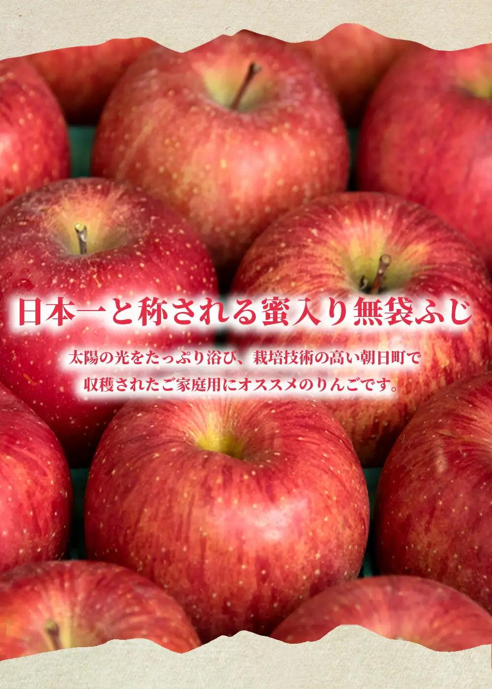 りんご 【 ご家庭用 訳あり 】 ふじりんご  3kg  【11月中旬～12月中旬発送】サンふじ ふじ リンゴ 林檎 山形県 朝日町産 山形県産 特産 果物 フルーツ リンゴ 林檎 秋 冬 送料無料