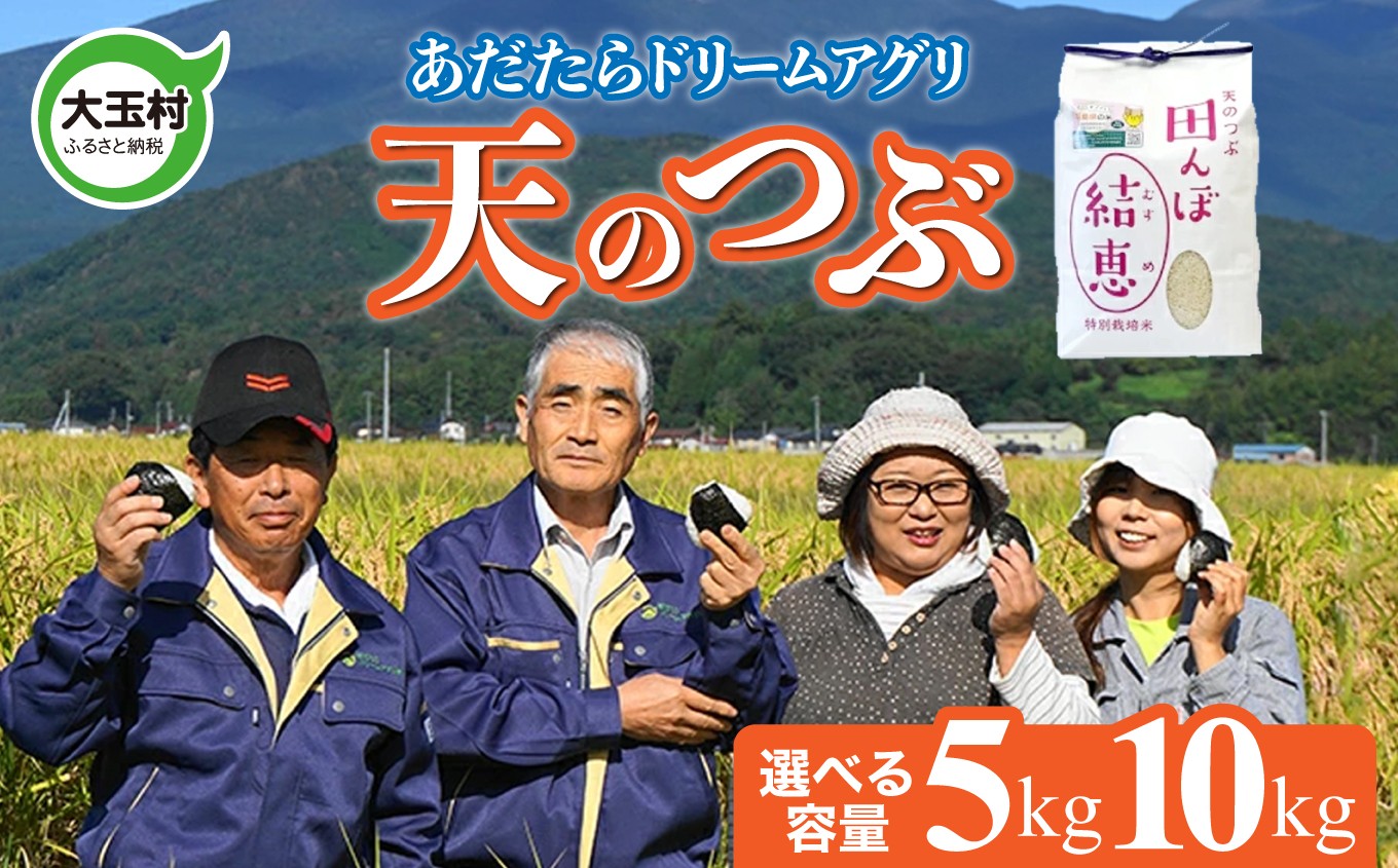 
                  【選べる容量】 【 令和7年産 】【 おいしいお米コンクール 受賞米 あだたらドリームアグリ（株）】 天のつぶ 5kg 10kg 福島県 大玉村 てんのつぶ テンノツブ 
                