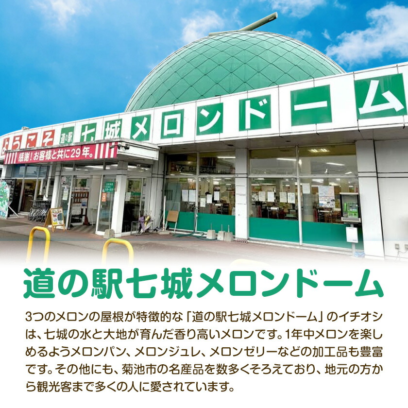 令和7年産 七城のこめ 精米 15kg(5kg×3袋) ヒノヒカリ ひのひかり 有限会社七城町特産品センター《30日以内に出荷予定(土日祝除く)》 熊本県 菊池市 定期便 お米 米 白米 九州産 熊本