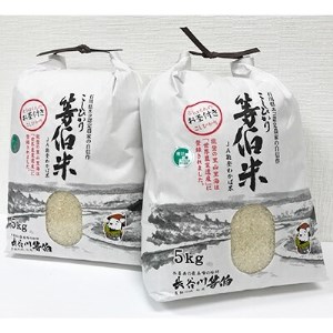 【令和5年産】等伯米コシヒカリ10kg (5kg×2袋)【1071556】