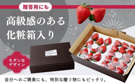 大粒完熟 群馬県産いちご「やよいひめ」400g×1 2027年 先行予約｜朝採れ やみつき高品質 たっぷり 贈答用 新鮮 完熟 いちご 旬 苺 ストロベリー 高級 産地直送 果汁 甘い あまい 人気 高評価 高糖度 ごほうび プレゼント ハルノヒ 群馬県 前橋市
