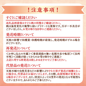 【先行予約2025年8月下旬より発送】＜北海道余市産＞訳アリ 桃「あかつき」4kg（12～20玉）_Y103-0023