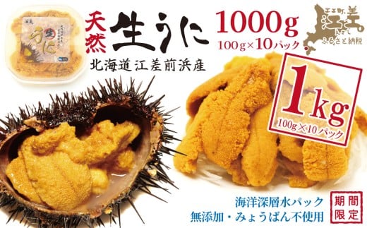 ＼2026年先行予約／北海道 江差前浜産 生うに たっぷり 1kg（100g×10パック）【無添加・みょうばん不使用】令和8年　江差産天然キタムラサキウニ　日本海熊石産海洋深層水　塩水ウニ　素材を生かした自然の味　国産うに　雲丹　100グラムパック個包装