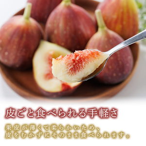 ＜先行予約受付中！2026年8月下旬～2026年10月下旬順次発送予定＞福岡県ブランドいちじく博多 とよみつひめ (計約1.2kg・300g×4P) いちじく イチジク フルーツ 果物 くだもの 福岡