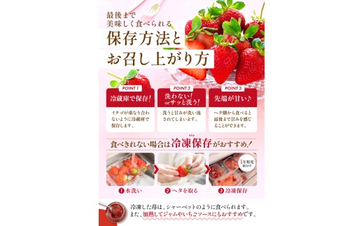 【2027年2月から3月発送予定】先行予約! 数量限定 福岡産 あまおう ichigo strawberry itigo 約1120g 約280×4パック セット いちご 苺 イチゴ フルーツ 果物 
