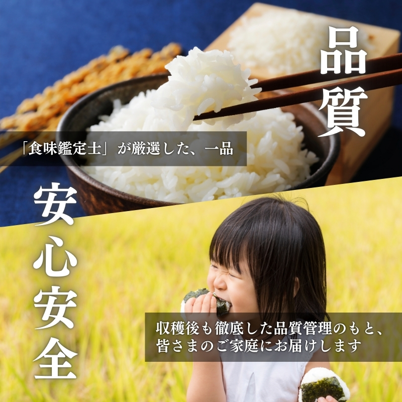 令和7年産 食味鑑定士厳選 新潟県上越柿崎区厳選 こしひかり 無洗米 20kg 6か月定期便 上越市 精米 米 コメ コシヒカリ ブランド米
