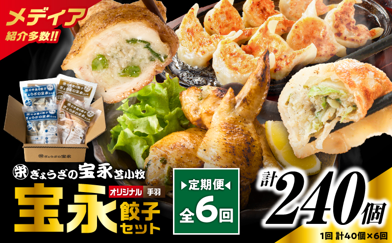 【定期便・全6回 毎月】手包み餃子 ぎょうざの宝永 手羽餃子40個セット（宝永餃子15個入×2袋・手羽餃子5個入×2袋）　T004-T06-02-04