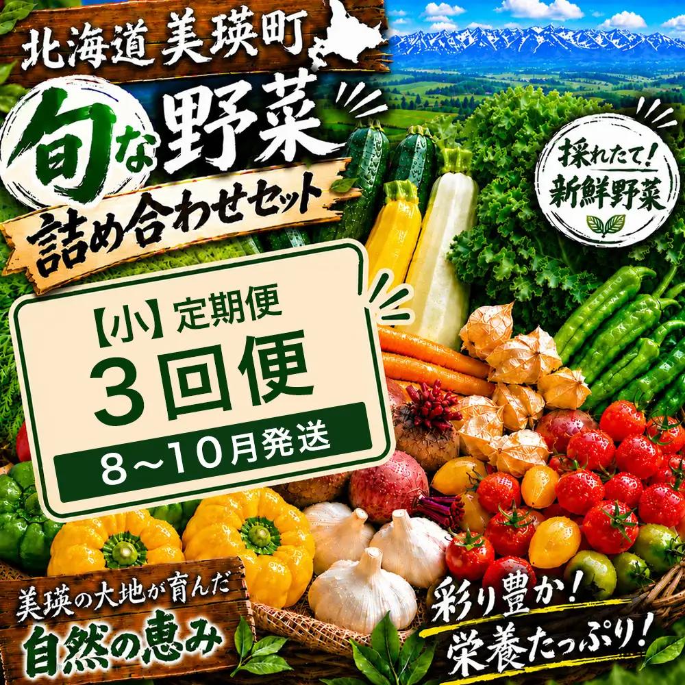 季節の野菜セット【小】定期便 3回便 8月 9月 10月発送 旬野菜 詰め合わせ あらいふぁーむ
