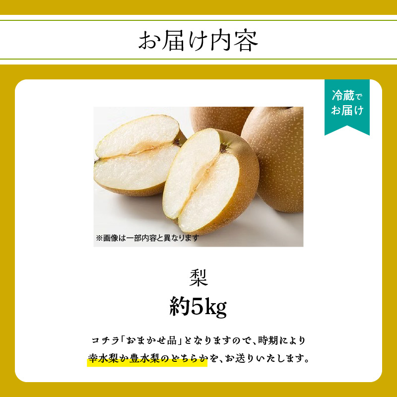 【先行受付】梨（5kg）｜2026年9月下旬～発送予定 なし 梨 旬 フルーツ 果物 くだもの 福岡県 八女市