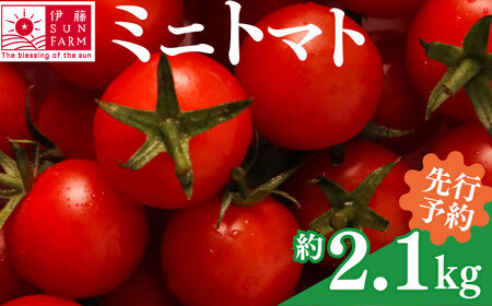 ミニトマト 約2.1kg 伊藤SUN FARM 《12月-6月末発送》千葉県 旭市 【ミニトマト】