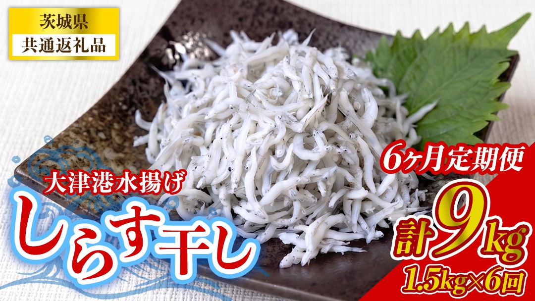 
                  【6回定期便】大津港水揚げしらす干し 1.5kg(250g×2パック×3箱) (茨城県共通返礼品:北茨城市) 冷凍 小分け パック 少量 水揚げ ごはん ご飯 丼 海鮮 魚 名物 グルメ 茨城県 魚介類 ちりめん シラス しらす じゃこ サラダ ふるさと納税 人気 料理 [BC018]
                