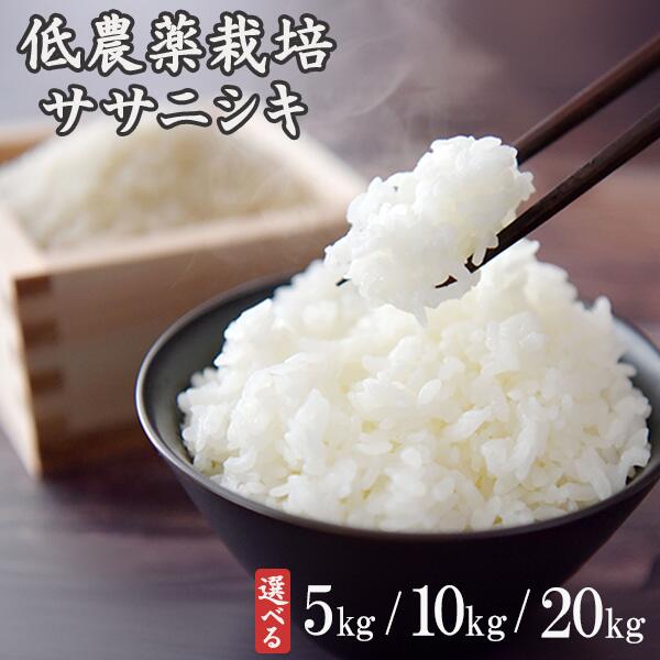【ふるさと納税】《 新米先行予約 》令和7年産 新米 低農薬栽培 ササニシキ 精米 選べる 5kg 10kg 20kg ふるさと納税 お米 お弁当 弁当 料理 おにぎり おむすび 食品 ギフト プレゼント 贈り物 贈答品 岩手県 一関市