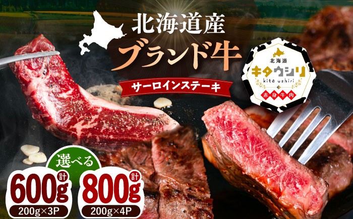 
            【選べる容量】チクレンミート ステーキ サーロインステーキ 600g/800g 肉 牛肉 牛 北海道産牛 サーロイン ステーキ 北海道産牛肉 ブランド牛 ブランド 栄養豊富 健康 お取り寄せ ギフト 足寄町 北海道産 北海道  [BEBJ001]
          