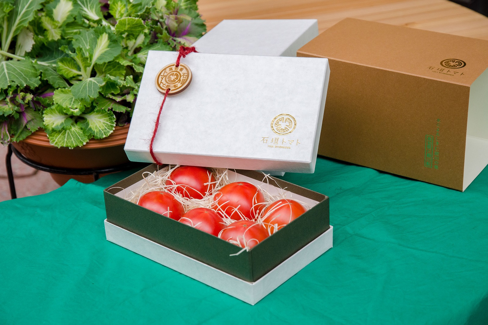 
            石垣トマトSクラス（糖度8～10度）
          