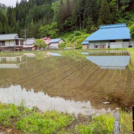 【令和7年産米】三島町産天のつぶ 精米10kg FAG-0061