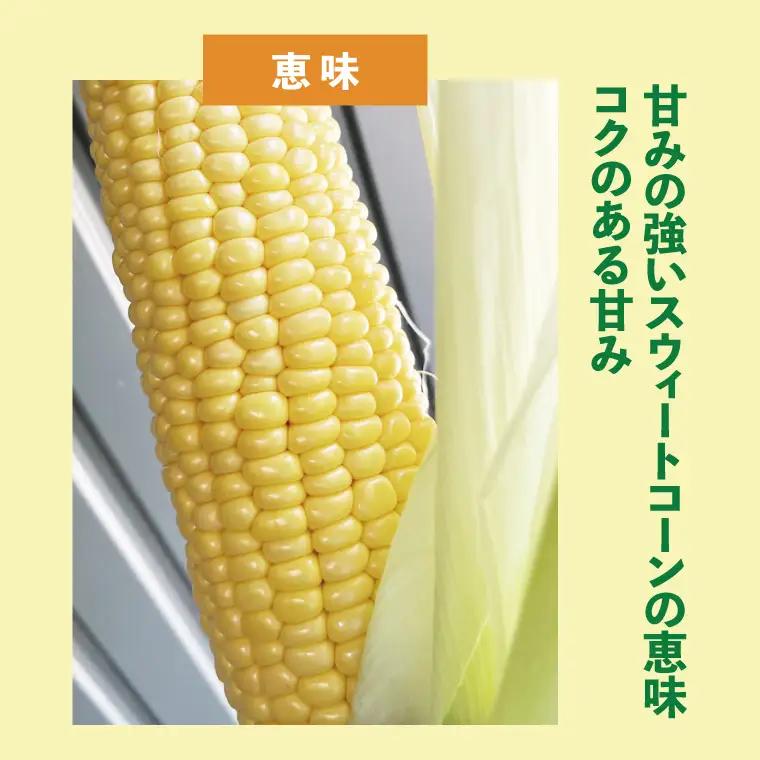 【6月下旬より発送 】数量限定 とうもろこし 12～14本 恵味 ドルチェドリーム プレミアム味来 とうもろこし トウモロコシ スイートコーン 農家直送 茨城県 水戸市（GR-4）