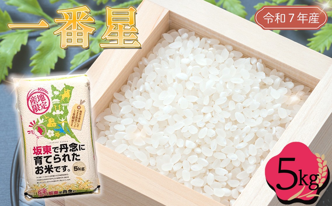 
                  「令和7年産米」一番星　5kg ／ 令和7年 新米 米 お米 こめ コメ 精米 白米 ご飯 国産米 5kg 5キロ 一番星 大粒 甘み 真空 真空パック おすすめ 人気 買い置き おいしい お取り寄せ 産地直送 産直 坂東市産 茨城県産 茨城産 茨城県 特産品 No.761
                