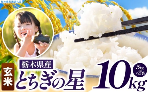 いちご農家さん応援米！ 令和7年度産 玄米 約10kg とちぎの星 | 真岡市産 米 お米 こめ 玄米 ご飯 ごはん とちぎの星 大粒 限定 ふるさと納税 栃木県 真岡市 送料無料