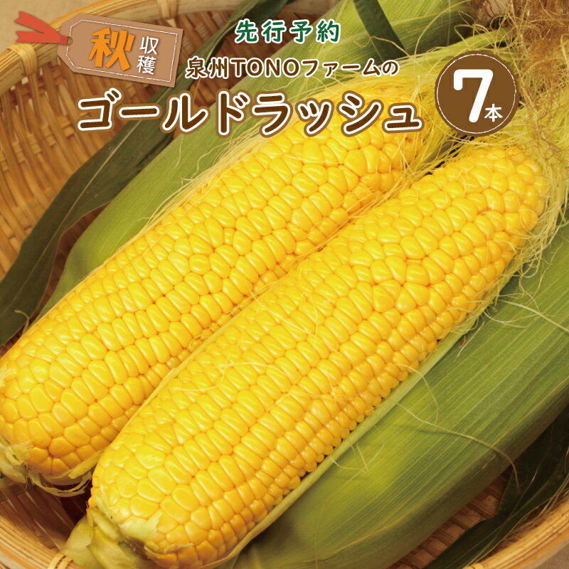 【ふるさと納税】【先行予約】 数量限定 秋収穫 ゴールドラッシュ 7本 セット とうもろこし 新鮮 朝どれ 朝採り 甘みが強い 粒皮がやわらかい 泉州TONOファーム 国産 お取り寄せ お取り寄せグルメ 泉佐野産 大阪府 泉佐野市 送料無料