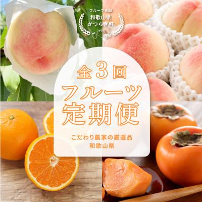 ふるさと納税 日高町 【発送月固定定期便】フルーツ定期便　品質に自信あり!道の駅よりこだわり農家厳選品!全3回