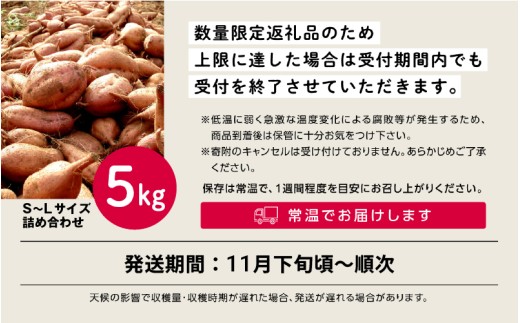 【先行予約】安納いも さつまいも 5kg (S/M/Lミックス)【秀さん農園】種子島 焼きいも 焼き芋 本場 安納芋  さつま芋 甘い ねっとり スイーツ おやつ グルメ お取り寄せ おせち 人気 種子島産 返礼品 南種子町 鹿児島 かごしま 【観光物産館トンミー市場】