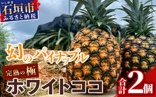 【マツコの知らない世界で絶賛！】《2027年5月以降順次発送》[先行予約] 最高糖度20度！？ 完熟の極 石垣島産幻のパイナップル ホワイトココ2個セット【 沖縄 石垣島 石垣 八重山 パイン パイナップル 期間限定 数量限定 TV テレビ 紹介 マツコ 】TF-002