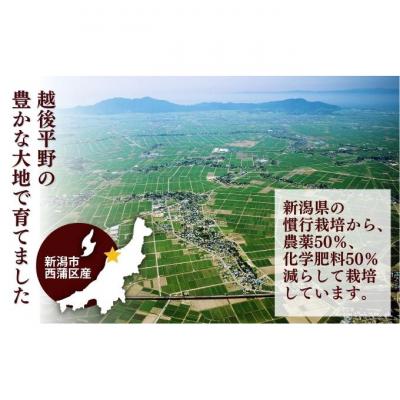 ふるさと納税 新潟市 堆肥で育てた 新潟産 こしひかり 5kg [54070806] |  | 01