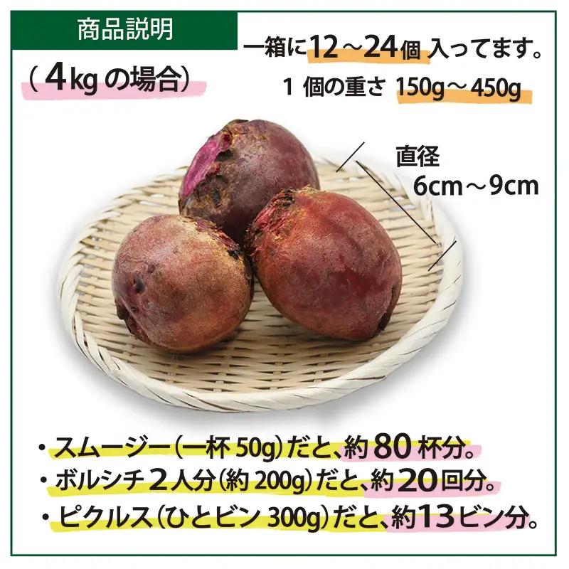 【最短翌日発送】 ビーツ (4kg) やさい 生ビーツ ビートルート 神奈川県 平塚市