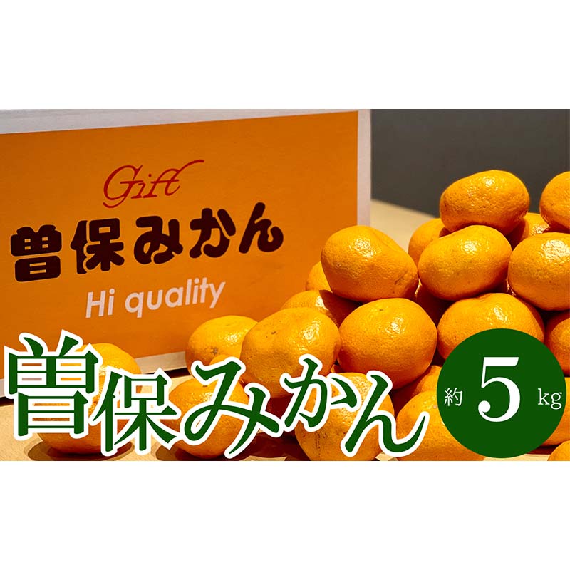 【ふるさと納税】最高峰！三豊市の「曽保みかん」約5kg FAH-0021