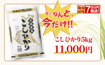 【令和7年産/白米】最短2日後7日以内発送 こしひかり 5kg  茨城県産 米 K2670