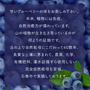 ブルーベリー 生キャラメル 280g 無添加 摘みたて 自然栽培 手作り 果実 100% キャラメル アントシアニン トッピング 石巻市産 宮城県 石巻市