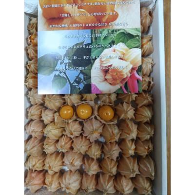 ふるさと納税 日高町 【先行受付】フルーツほおずき　1kg |  | 01