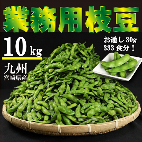 《大容量10kg》宮崎県産えだまめ [業務用 茶豆風 枝豆 冷凍野菜 ストック食材 ワンストップオンライン] TF0576-P00019