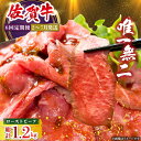 【ふるさと納税】【全6回定期便】三栄の佐賀牛ローストビーフ（1〜2人前）200g 【肉の三栄】 霜降り 黒毛和牛 和牛 佐賀牛 ローストビーフ[HAA128]