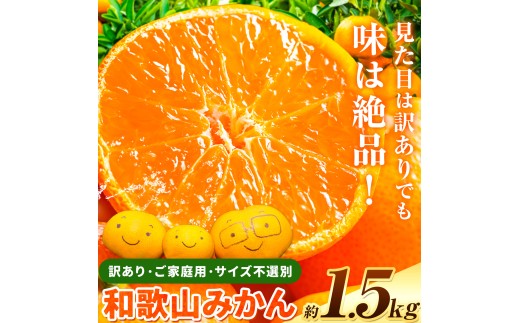 訳あり みかん (3S～3L) 約1.5kg《10月上旬‐12月下旬頃に発送(土日祝を除く)》和歌山県 日高町 果物 フルーツ 訳あり みかん 家庭用 お試し 大容量 送料無料