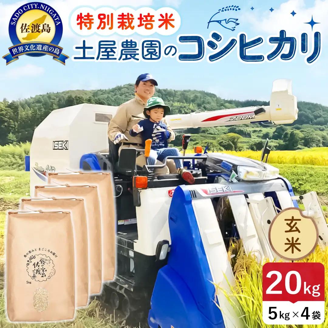 佐渡島産コシヒカリ 玄米 20kg 令和8年産 特別栽培米 土屋農園 195962-034602
