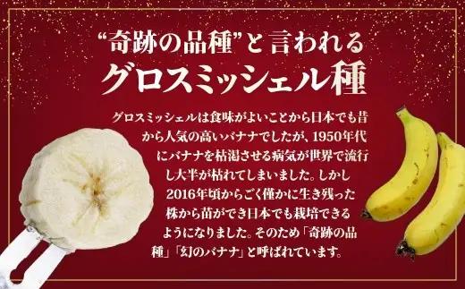 バナナ 桐箱入り 国産高級バナナ 贈答用５本入り