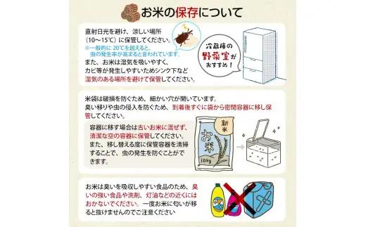 令和7年産 無洗米 まっしぐら 約10kg 【修清】 F6N-354