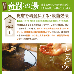 豊富温泉 ふれあいセンター 入浴券 こども用 16回分