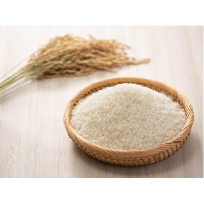 ふるさと納税 多古町 新米【令和7年産】たこまいらいふ萩原農場の多古米コシヒカリ(精米)3kg |  | 01