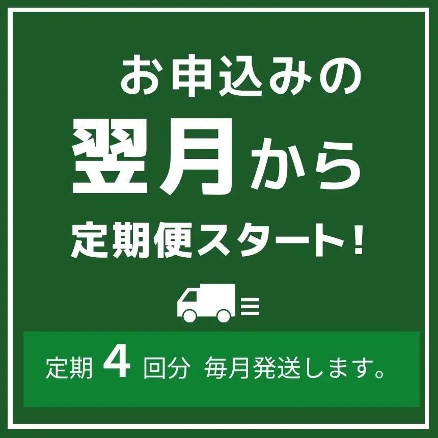 【定期便４回】令和8年産 こしひかり 5kg （白米） 宮崎県産