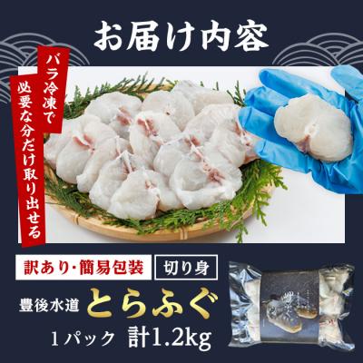 ふるさと納税 佐伯市 < 訳あり ・ 簡易包装 > 豊後水道 とらふぐ 切り身 |  | 01