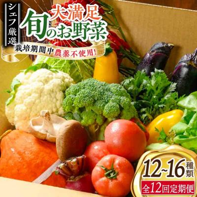 ふるさと納税 大洲市 【全12回定期便】栽培期間中農薬不使用!大満足 旬のお野菜セット [AGBX005]