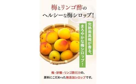 梅シロップ 330g×2本  紀州南高梅 【kbe024-1】