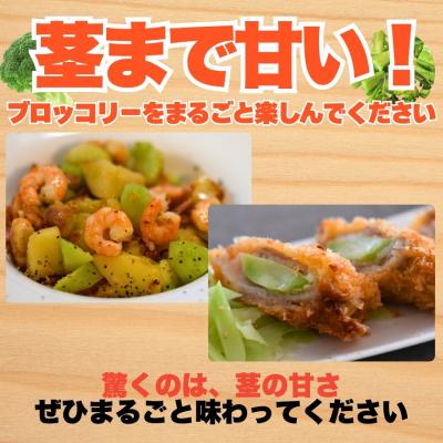 ふるさと納税 愛南町 訳あり ブロッコリー 約3kg サイズミックス 朝採れ 当日 発送 愛媛県 愛南町 愛なんよ |  | 02