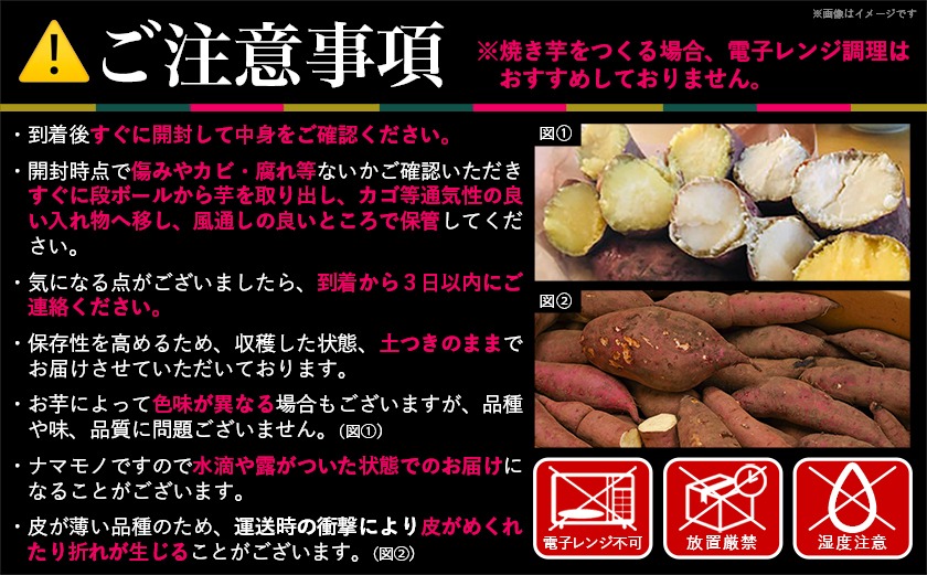 島津甘藷　熟成紅はるか 10kg(S～2S)_12-A701-m