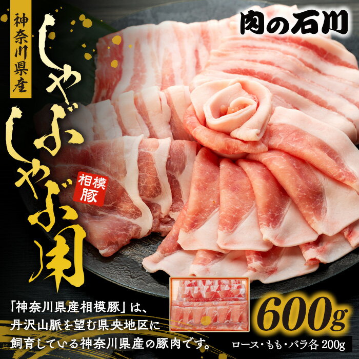 【ふるさと納税】神奈川県産 相模豚 肉の石川 しゃぶしゃぶ用 ロース 豚ロース もも モモ バラ ブランド豚 お肉 豚肉 鍋用 贈り物 夕食 団らん お祝い ひらつか匠の店 送料無料 神奈川県 平塚市