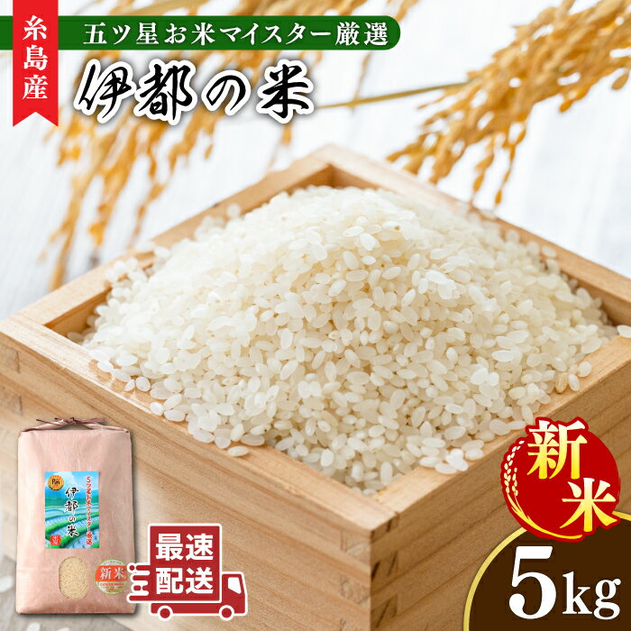 【ふるさと納税】【令和7年産新米】伊都の米 5kg 糸島市 / 納富米穀店 [ARL001] 米 お米 17000円 常温