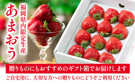 福岡県産 あまおう ギフト箱 約600g 南国フルーツ株式会社《12月上旬-3月末頃出荷》福岡県 鞍手町 あまおう いちご イチゴ 送料無料【配送不可地域あり】